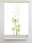 Preview: Rollo Dandelions green  , Rollo, Motivrollo, Rollo mit Druck, Fotorollo, bedrucktes Rollo, Fensterrollo,verdunkelndes Rollo, Sonnenschutz Rollo